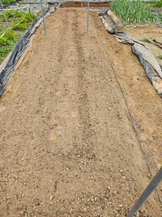 이명희님의 기타작물 · 영농일지 작성글 사진