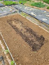 이명희님의 작성글 사진