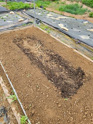 이명희님의 기타작물 · 영농일지 작성글 사진