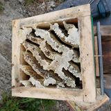 가로수님의 작성글 사진