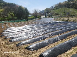 정창훈님의 기타작물 · 영농일지 작성글 사진