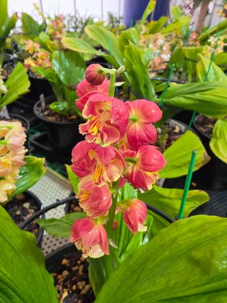 이성규 님의 작성글 사진