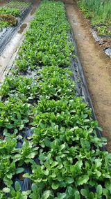 김지철님의 작성글 사진