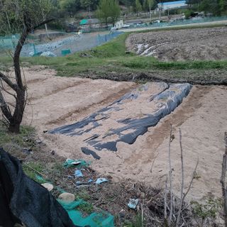 화려한이글님의 기타작물 · 영농일지 작성글 사진