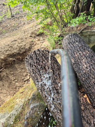 엉뚱님의 기타작물 · 영농일지 작성글 사진