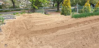 정천복님의 기타작물 · 영농일지 작성글 사진