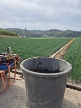 조잠순님의 작성글 사진