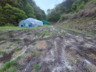 윤자용11대임후회장님의 작성글 사진