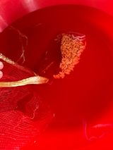 팜모닝 기타작물·영농일지 게시글 이미지