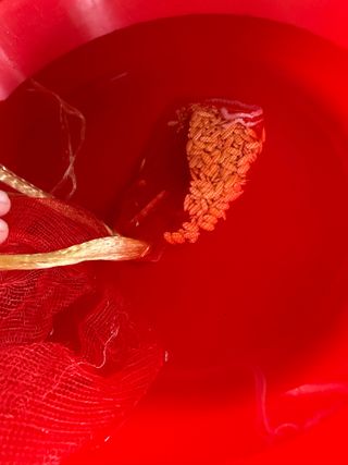 최우혁님의 기타작물 · 영농일지 작성글 사진