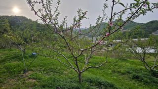 장정규님의 작성글 사진