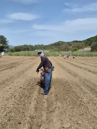 손영호님의 기타작물 · 영농일지 작성글 사진