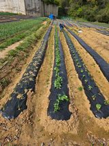 박홍권님의 작성글 사진