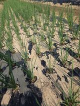 심상훈님의 작성글 사진