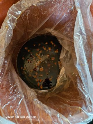 김병효님의 기타작물 · 영농일지 작성글 사진