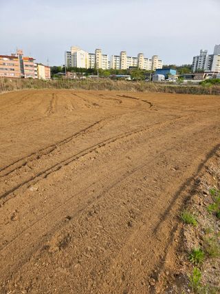 김연숙님의 작성글 사진