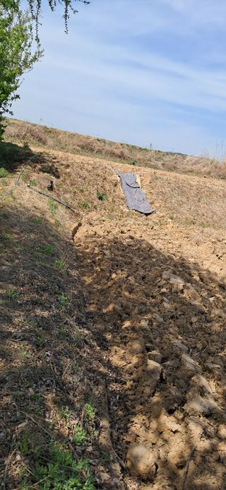 이복길님의 기타작물 · 영농일지 작성글 사진