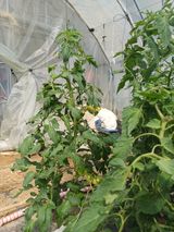 전원수님의 작성글 사진