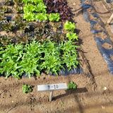 김춘성님의 작성글 사진