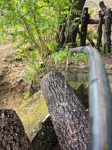 엉뚱님의 작성글 사진