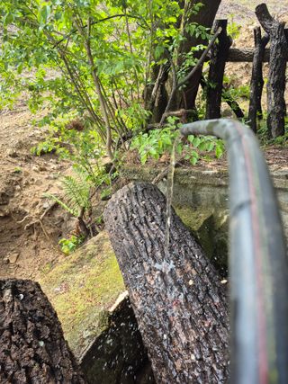 엉뚱님의 기타작물 · 영농일지 작성글 사진