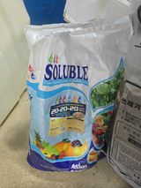 팜모닝 블루베리·영농일지 게시글 이미지