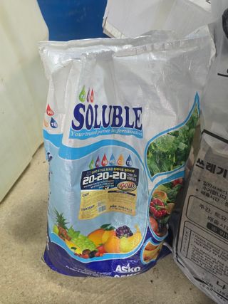 축복농장님의 블루베리 · 영농일지 작성글 사진