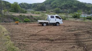 정태운님의 옥수수 · 영농일지 작성글 사진