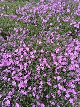 인생은 소풍처럼~님의 작성글 사진