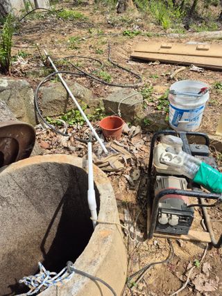 엉뚱님의 기타작물 · 영농일지 작성글 사진