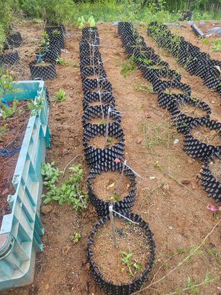 멧돼지님의 기타작물 · 영농일지 작성글 사진