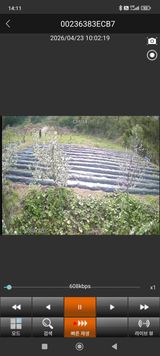 팜모닝 복숭아·영농일지 게시글 이미지