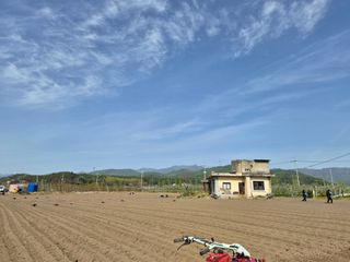 손영호님의 기타작물 · 영농일지 작성글 사진