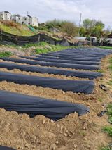 팜모닝 기타작물·영농일지 게시글 이미지