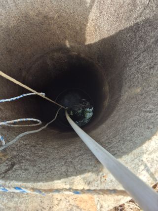 엉뚱님의 기타작물 · 영농일지 작성글 사진