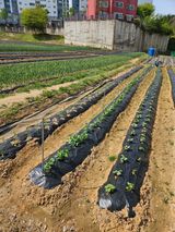 박홍권님의 작성글 사진