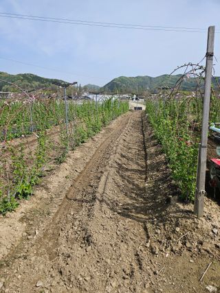 유제상님의 기타작물 · 영농일지 작성글 사진