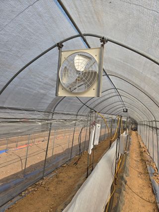 대운님의 고추 · 영농일지 작성글 사진