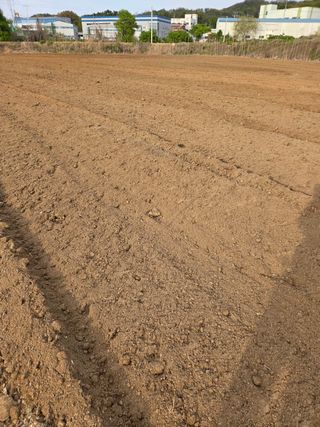 김연숙님의 기타작물 · 영농일지 작성글 사진