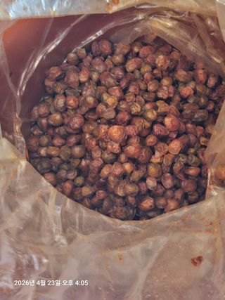 김병효님의 기타작물 · 영농일지 작성글 사진