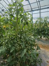 전원수님의 작성글 사진