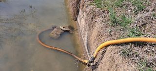 이복길님의 기타작물 · 영농일지 작성글 사진