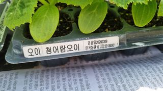 김지철님의 기타작물 · 영농일지 작성글 사진