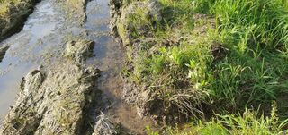 반성식님의 기타작물 · 영농일지 작성글 사진