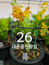 이성규 님의 작성글 사진