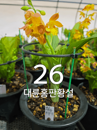 이성규 님의 기타작물 · 영농일지 작성글 사진