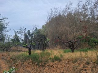 딸기15538님의 기타작물 · 영농일지 작성글 사진