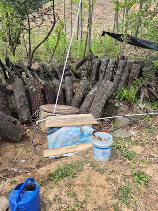 엉뚱님의 기타작물 · 영농일지 작성글 사진