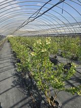 축복농장님의 작성글 사진