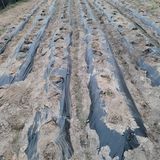 화려한이글님의 작성글 사진